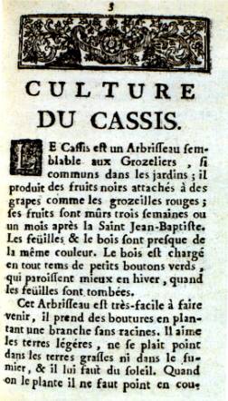 Extrait de : Les propriétés admirables du cassis qui a la propriété de guérir plusieurs sortes de maux - Abbé Bailly de Montaran - 1712