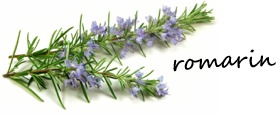 romarin - ja6