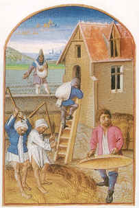 Battage du blé, in Le Rustican (1460) Pierre de Crescens - Musé Condé - Chantilly