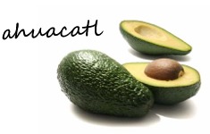 avocat - ja6