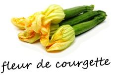 fleur de courgette - ja6