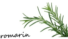 romarin - ja6
