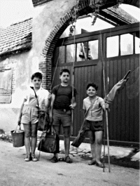 Juillet 1954